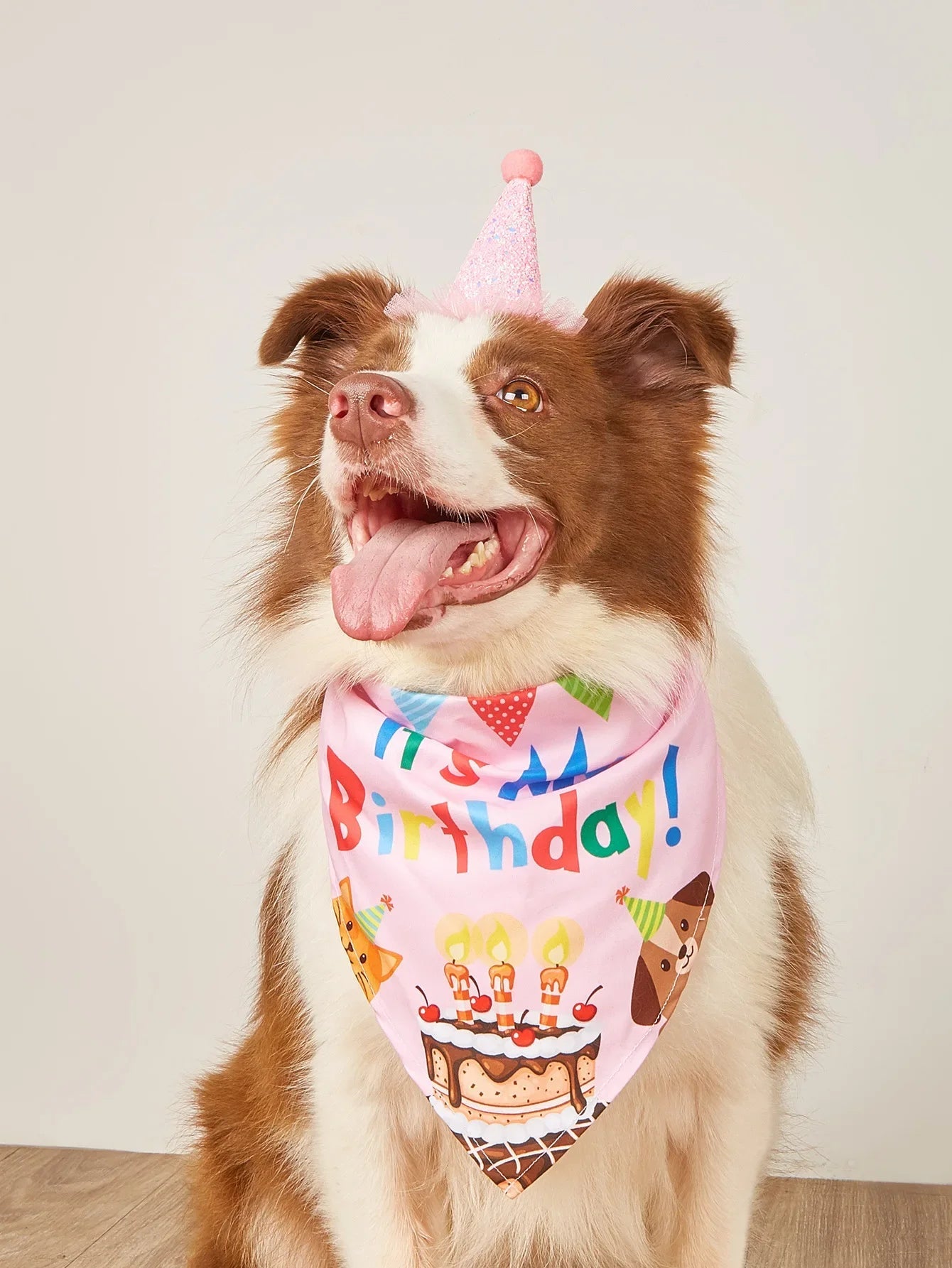 Dog/pet Happy Birthday Party Set | Bandana, Hat, Bowknot & Banner Decorations