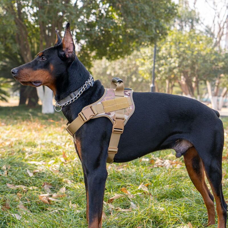 Tactical Dog Vest | Safe & Durable Military-Style Harness for Large Dogs