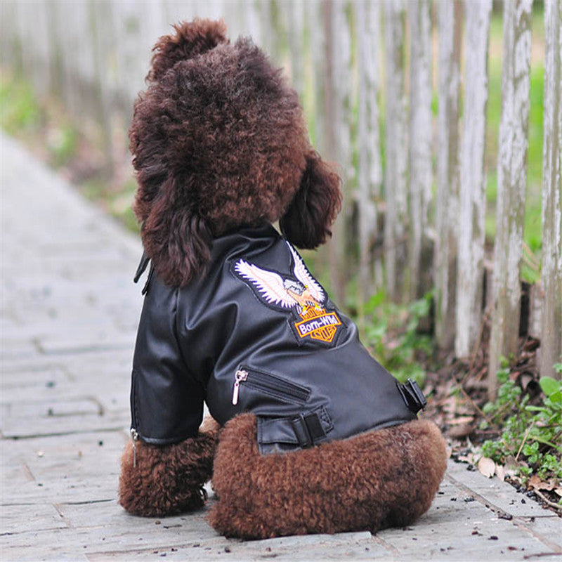 Small brown dog sitting outdoors wearing an Eagle Embroidered Dog Leather Jacket with detailed eagle design and zipper pockets, showcasing dog apparel for safety and style.