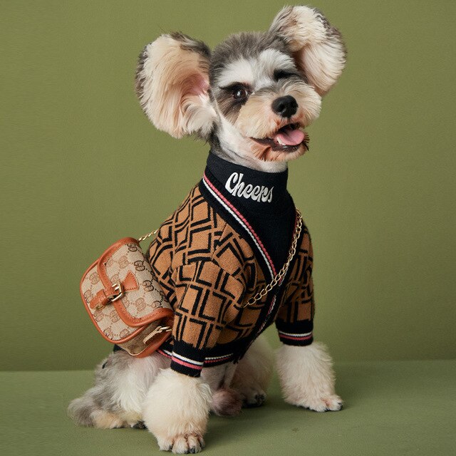 Small dog wearing a stylish patterned knit sweater with a high collar and a mini backpack accessory. The outfit matches the Dog Sweater – Cozy High-Collar Knit Wool Sweater for Small & Large Dogs.