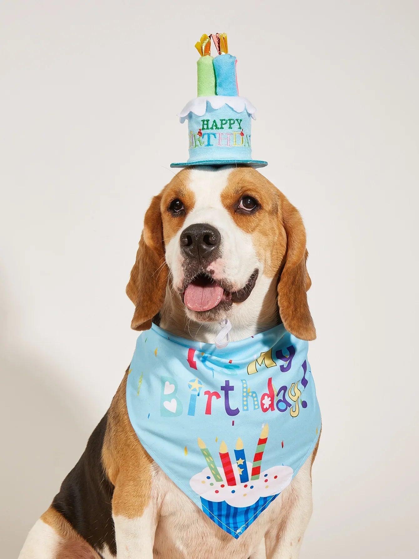 Dog/pet Happy Birthday Party Set | Bandana, Hat, Bowknot & Banner Decorations