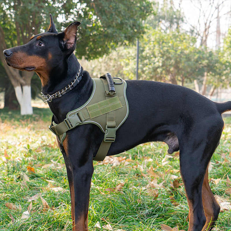 Tactical Dog Vest | Safe & Durable Military-Style Harness for Large Dogs