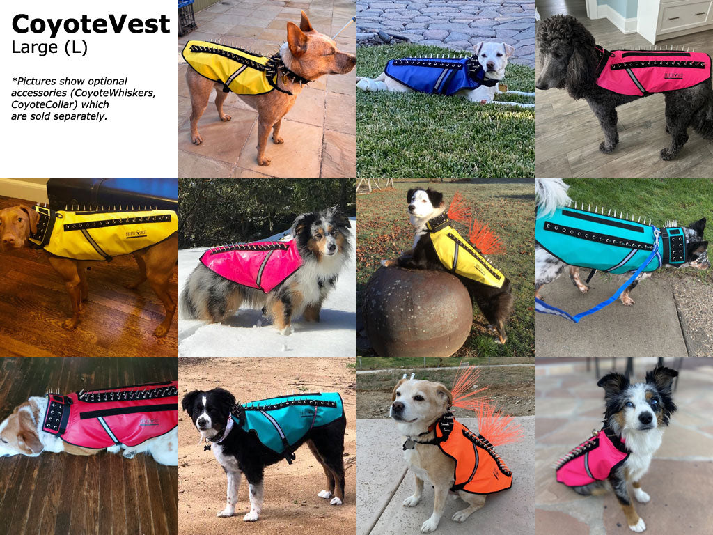 Dog Safety Vest – CoyoteVest | Predator Protection for Small Dogs