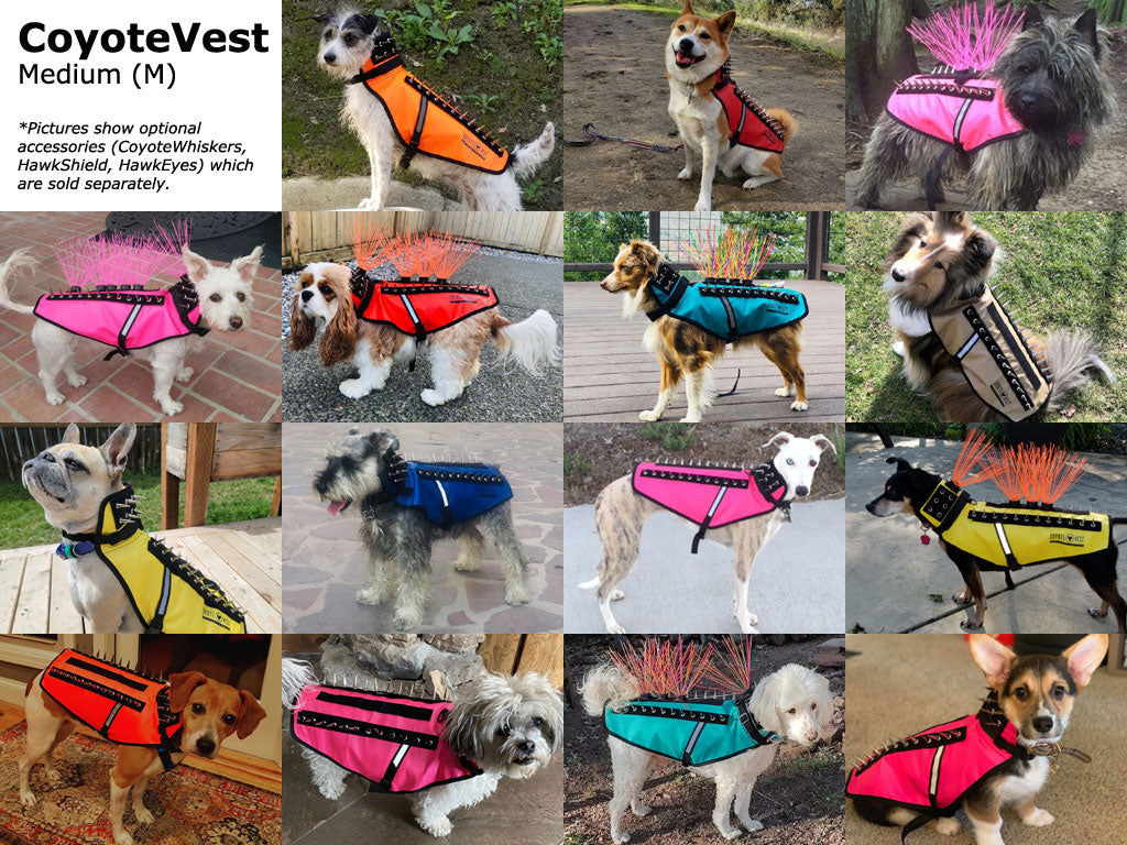 Dog Safety Vest – CoyoteVest | Predator Protection for Small Dogs