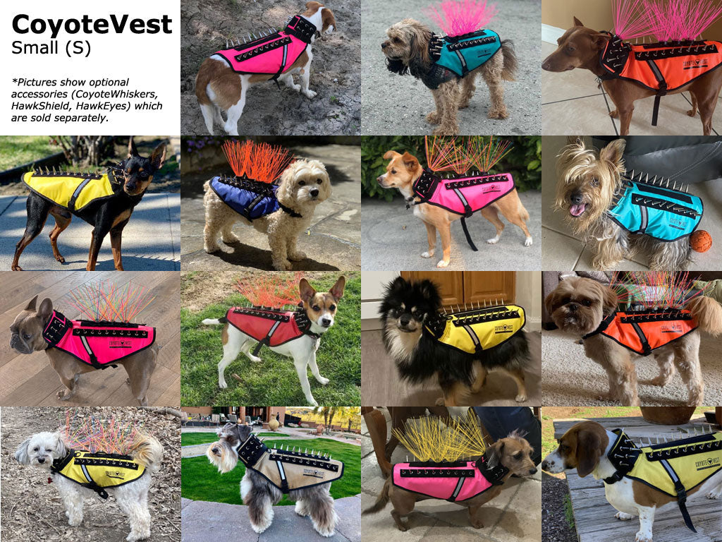 Dog Safety Vest – CoyoteVest | Predator Protection for Small Dogs