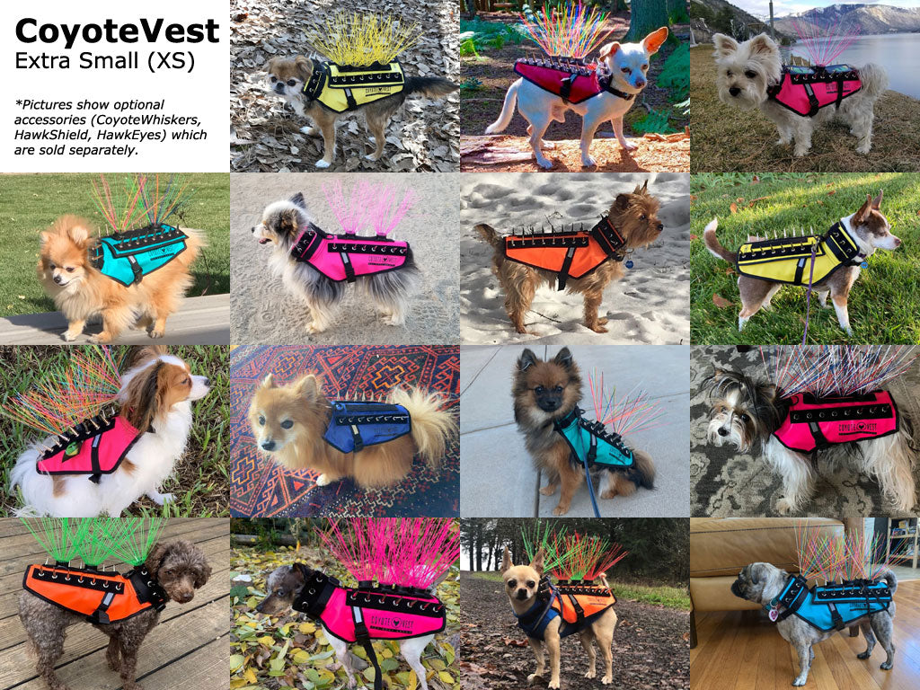 Dog Safety Vest – CoyoteVest | Predator Protection for Small Dogs