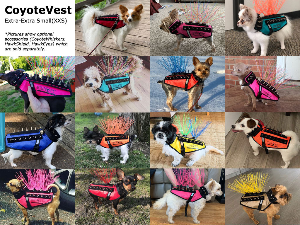 Dog Safety Vest – CoyoteVest | Predator Protection for Small Dogs