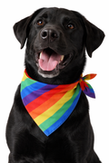 Rainbow Pride Pet Bandana | Adjustable Dog & Cat Scarf