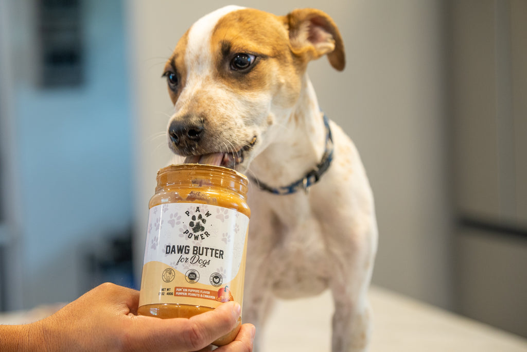 Dawg Butter – Pum'kin Puppers Flavor | Natural Peanut Butter Dog Treat