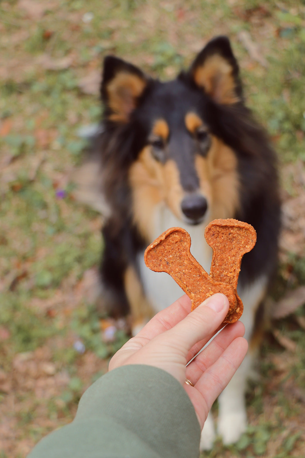 Dog Treats – Sweet Potato Bones | All-Natural & Wholesome