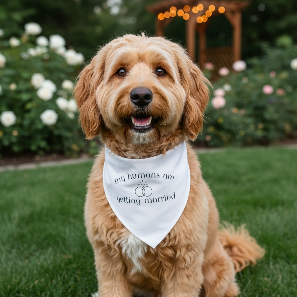 My Humans Are Getting Married Dog Bandana | Wedding Pet Accessory