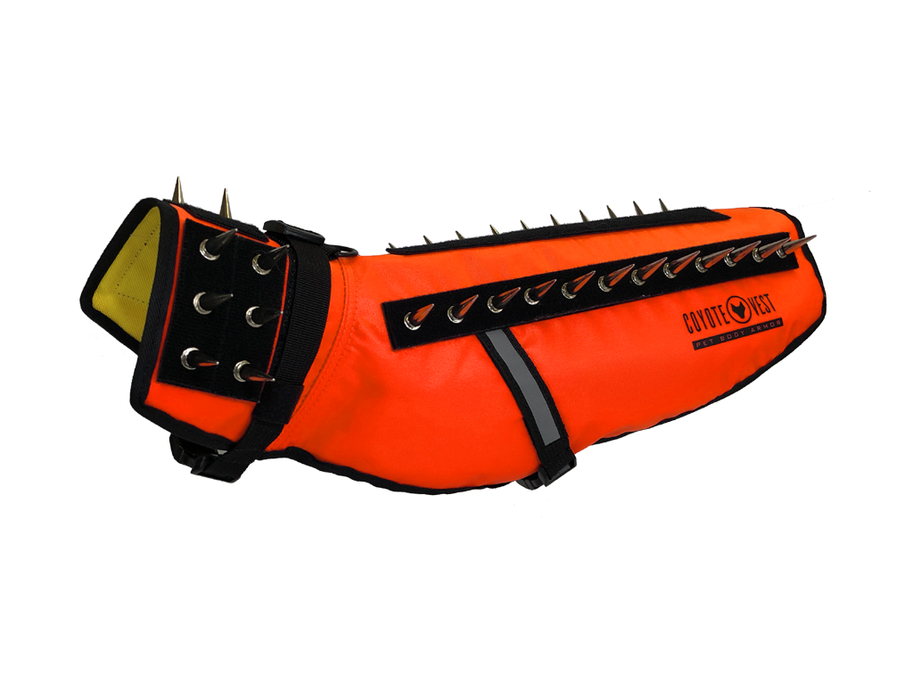 Dog Safety Vest – CoyoteVest | Predator Protection for Small Dogs