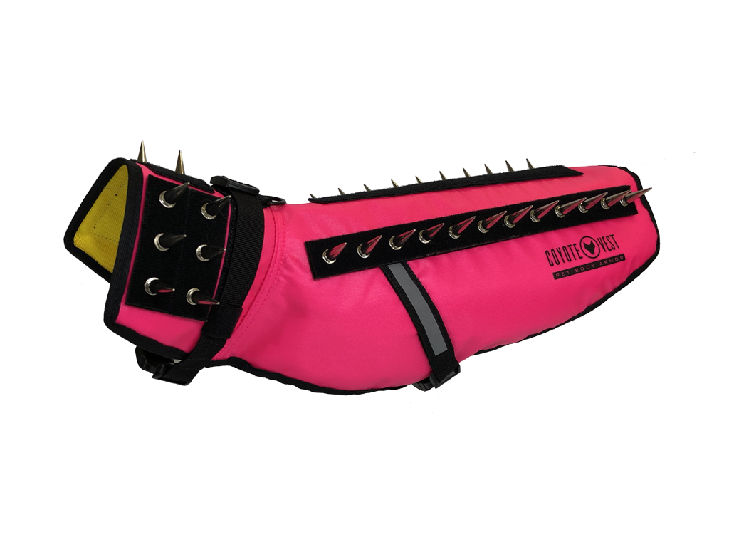 Dog Safety Vest – CoyoteVest | Predator Protection for Small Dogs