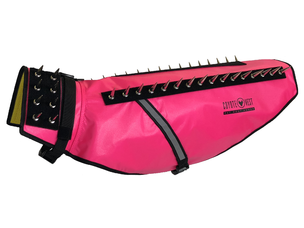 Dog Safety Vest – CoyoteVest | Predator Protection for Small Dogs