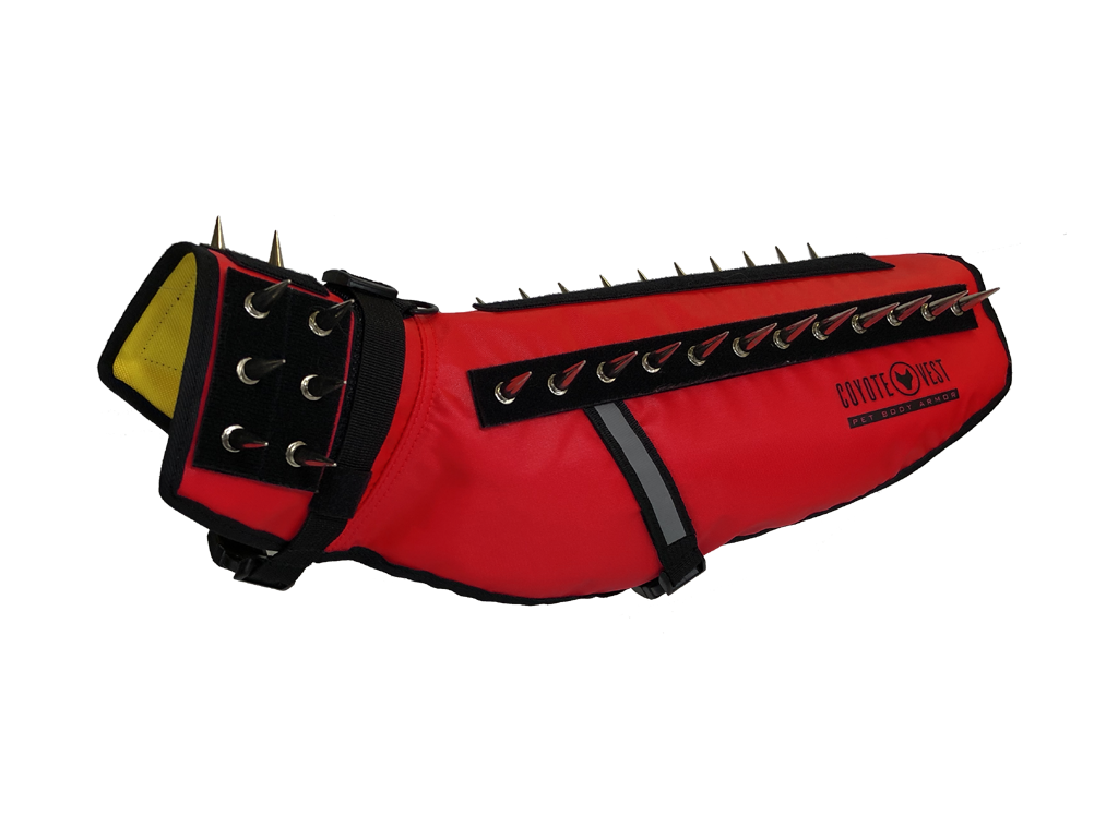 Dog Safety Vest – CoyoteVest | Predator Protection for Small Dogs