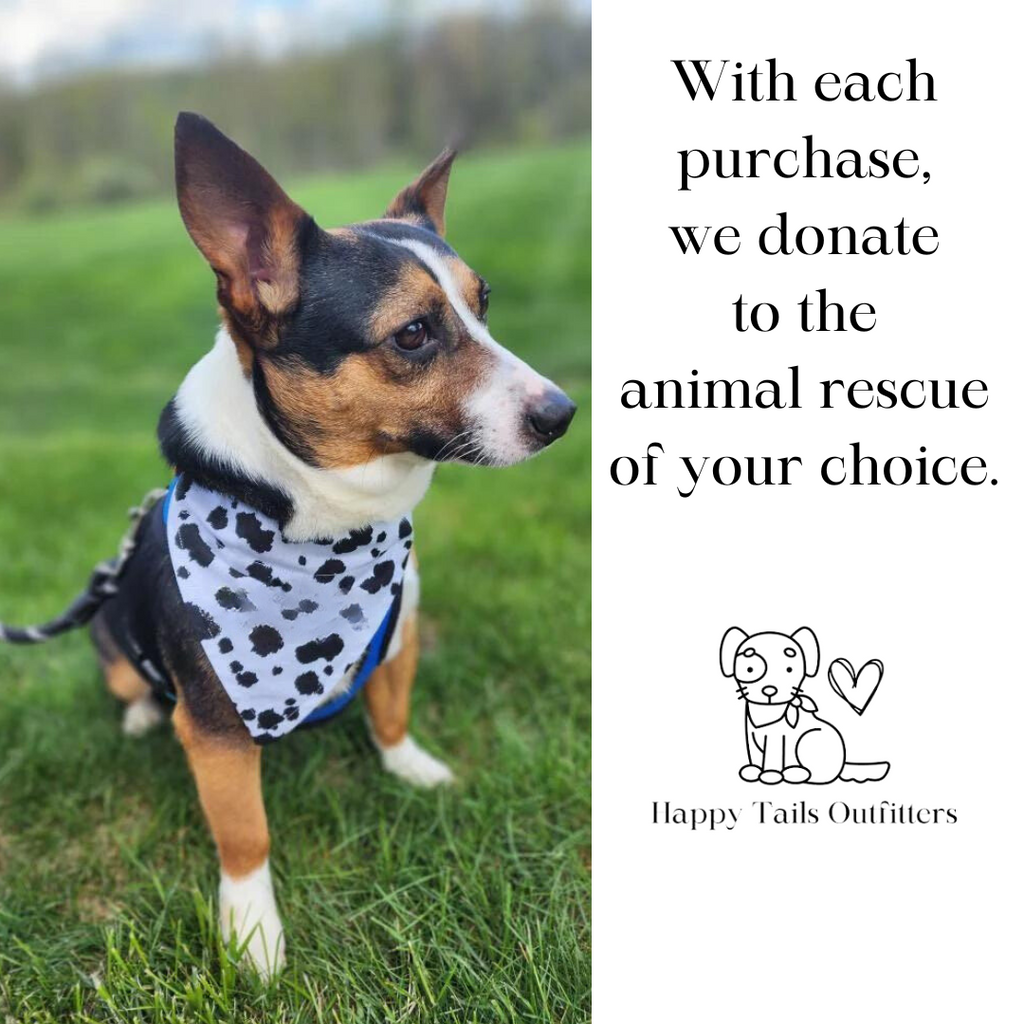 My Humans Are Getting Married Dog Bandana | Wedding Pet Accessory
