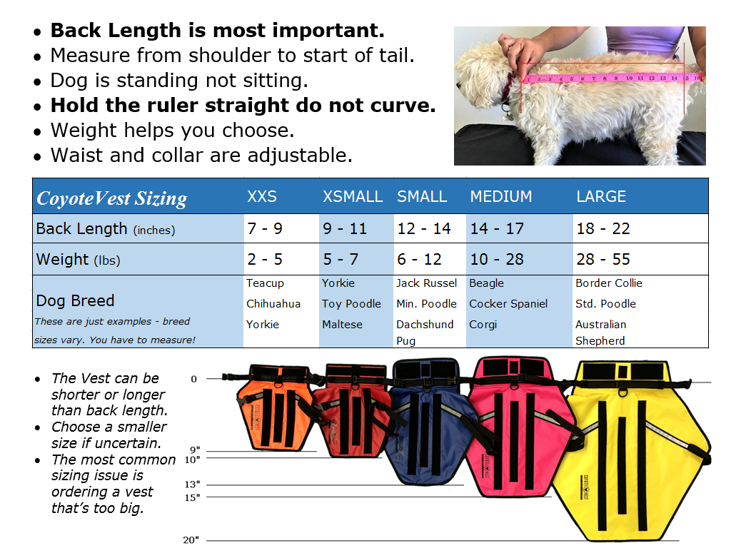 Dog Safety Vest – CoyoteVest | Predator Protection for Small Dogs