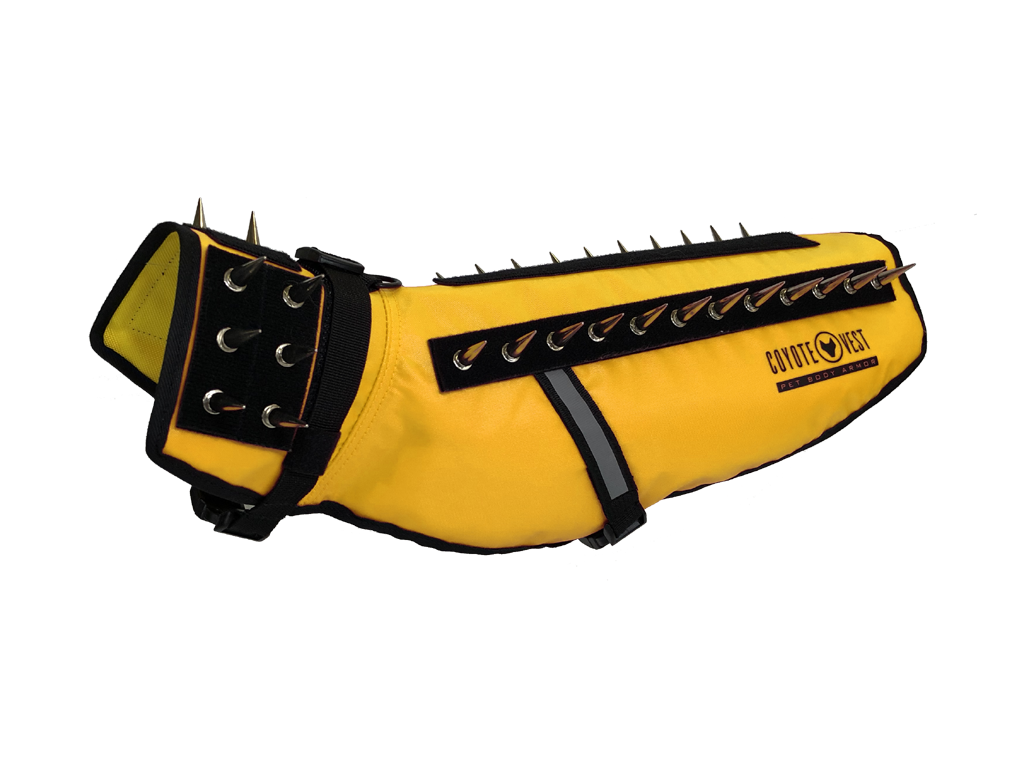 Dog Safety Vest – CoyoteVest | Predator Protection for Small Dogs