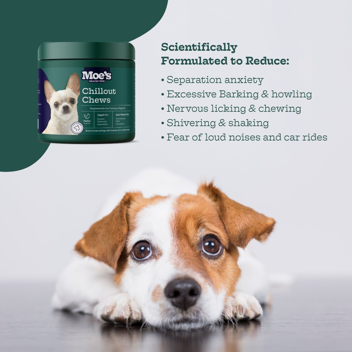 Dog Calming Treats – Chillout Chews | Natural Anxiety Relief for Dogs
