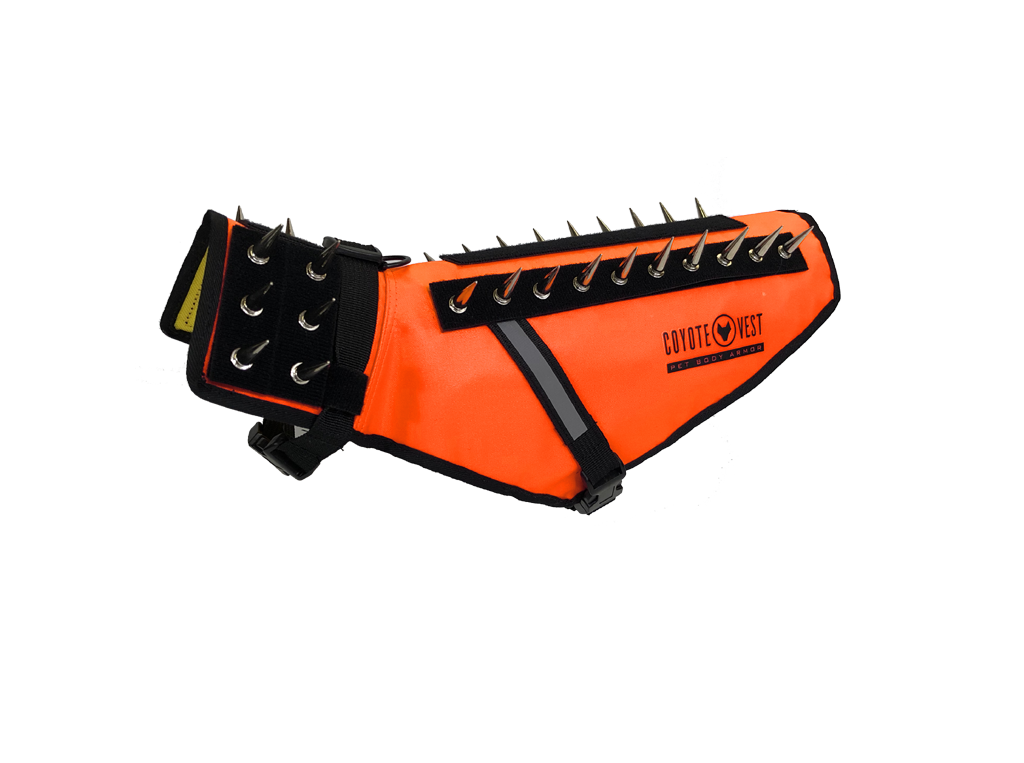 Dog Safety Vest – CoyoteVest | Predator Protection for Small Dogs