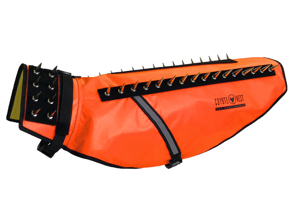 Dog Safety Vest – CoyoteVest | Predator Protection for Small Dogs