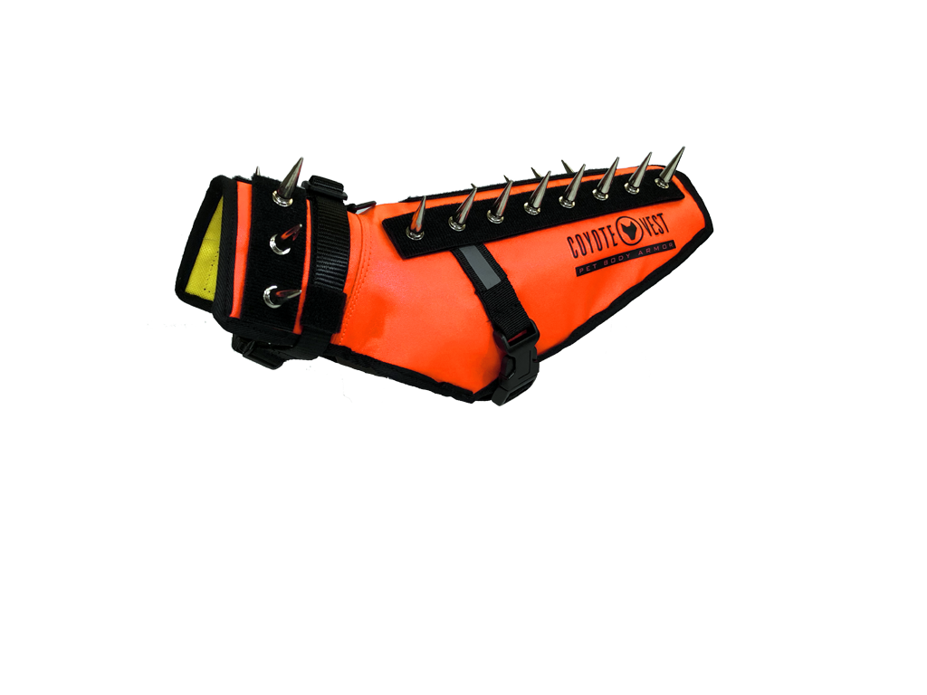 Dog Safety Vest – CoyoteVest | Predator Protection for Small Dogs