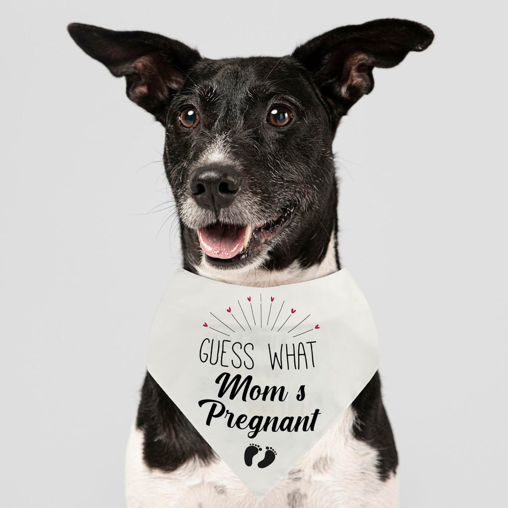 Pregnancy Announcement Dog Bandana | 'Guess What?' Pet Reveal Accessory