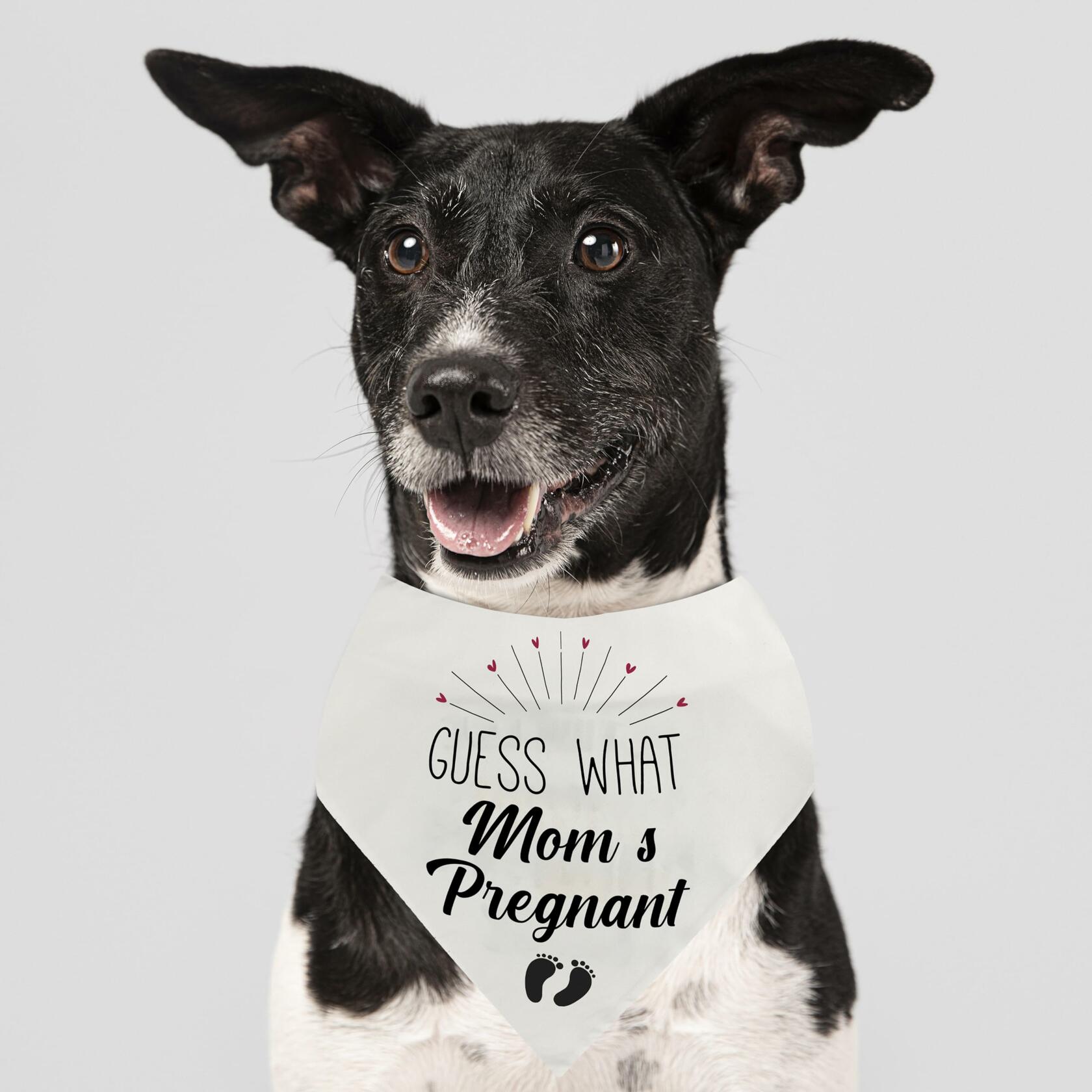 Pregnancy Announcement Dog Bandana | 'Guess What?' Pet Reveal Accessory