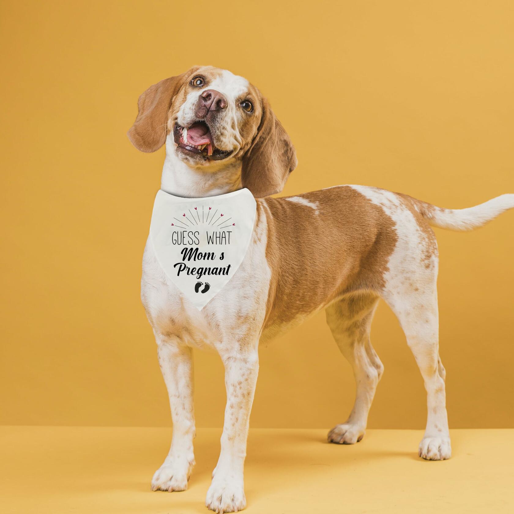 Pregnancy Announcement Dog Bandana | 'Guess What?' Pet Reveal Accessory
