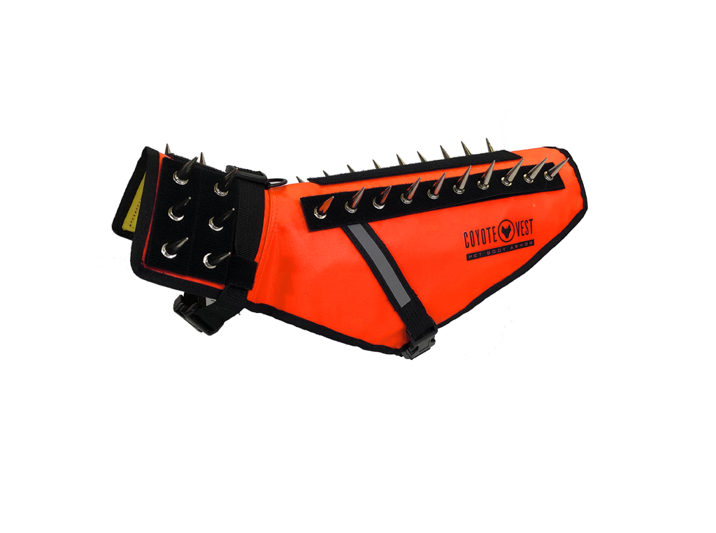 Dog Safety Vest – CoyoteVest | Predator Protection for Small Dogs