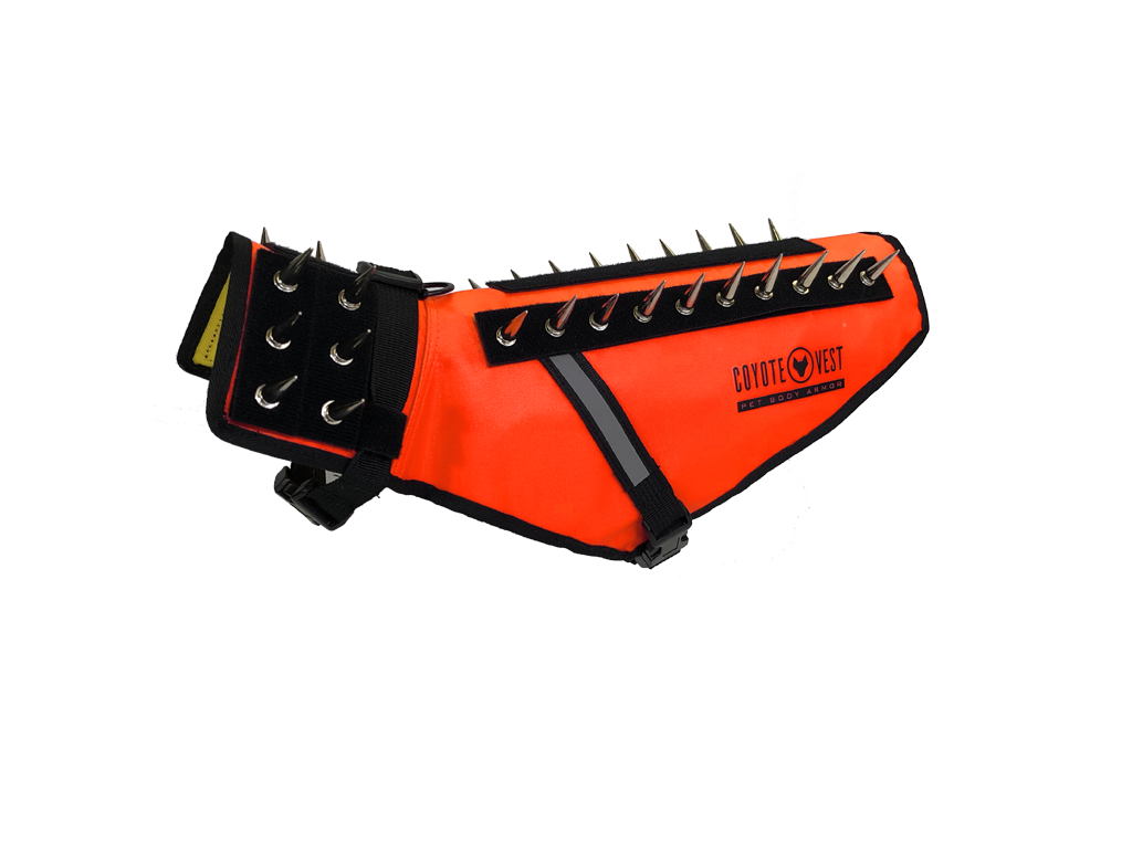 Dog Safety Vest – CoyoteVest | Predator Protection for Small Dogs