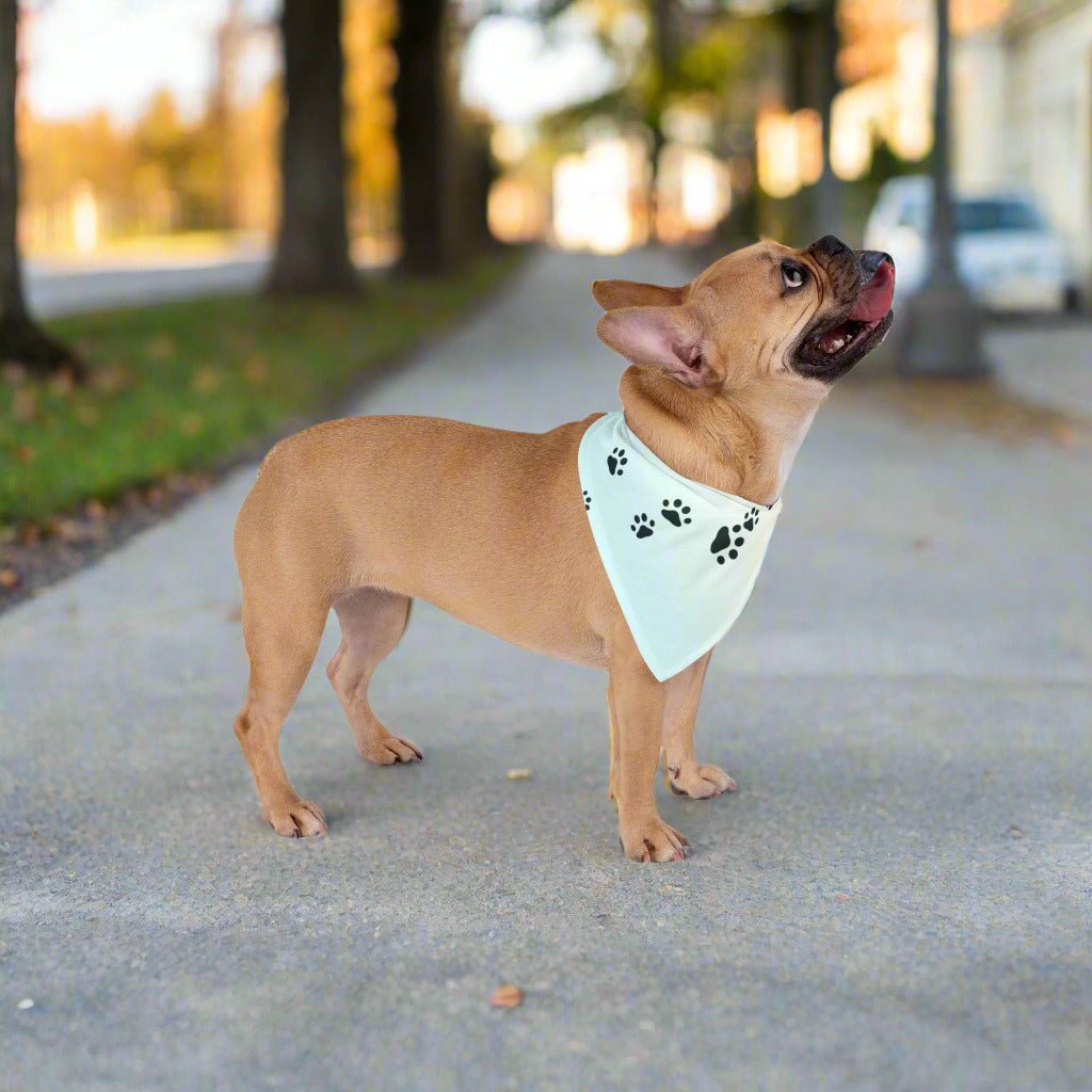 Dog wear Bandana paw print| Stylish Pet Accessory for Dogs & Cats