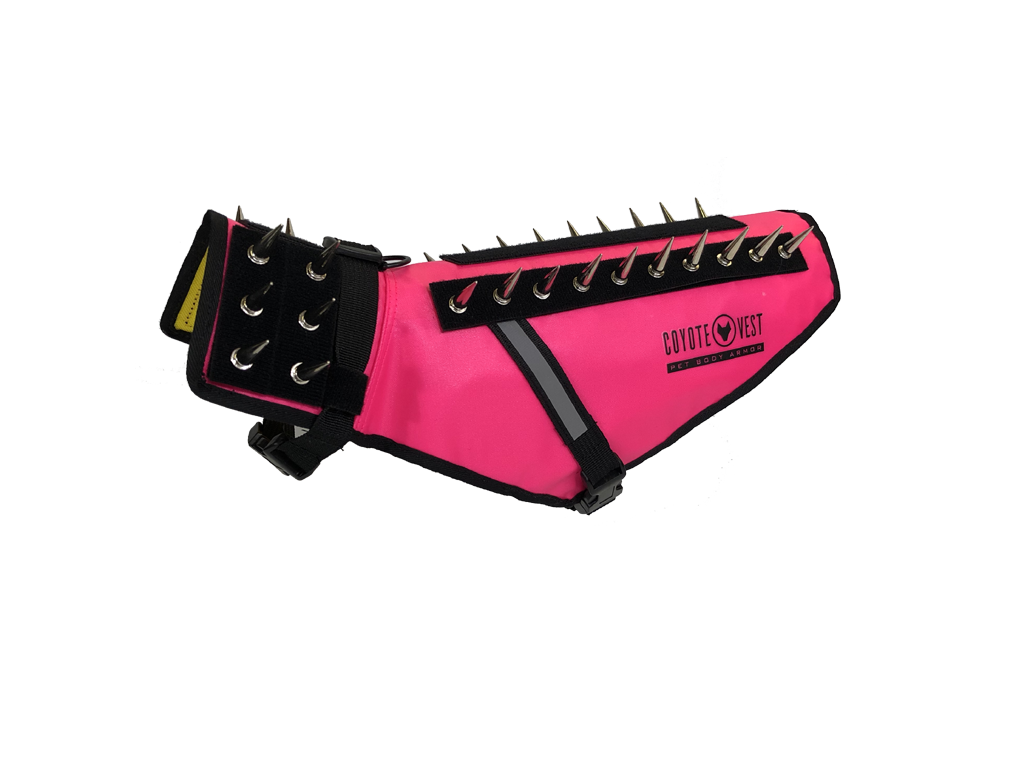 Dog Safety Vest – CoyoteVest | Predator Protection for Small Dogs