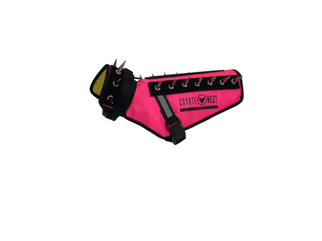 Dog Safety Vest – CoyoteVest | Predator Protection for Small Dogs