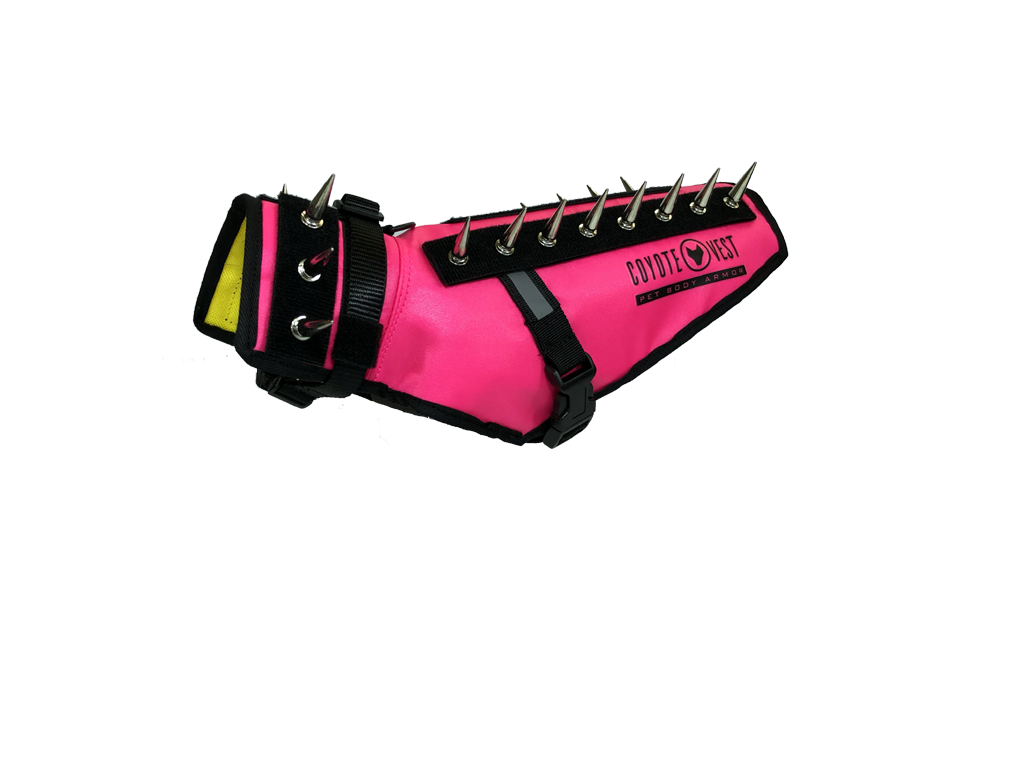 Dog Safety Vest – CoyoteVest | Predator Protection for Small Dogs