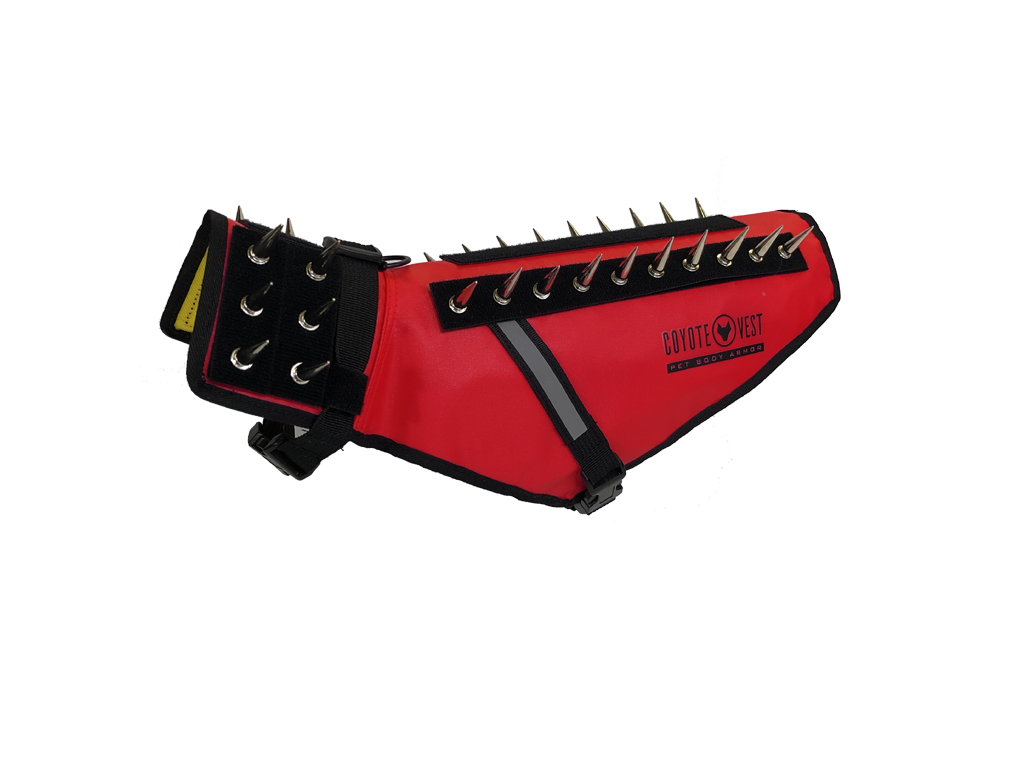 Dog Safety Vest – CoyoteVest | Predator Protection for Small Dogs