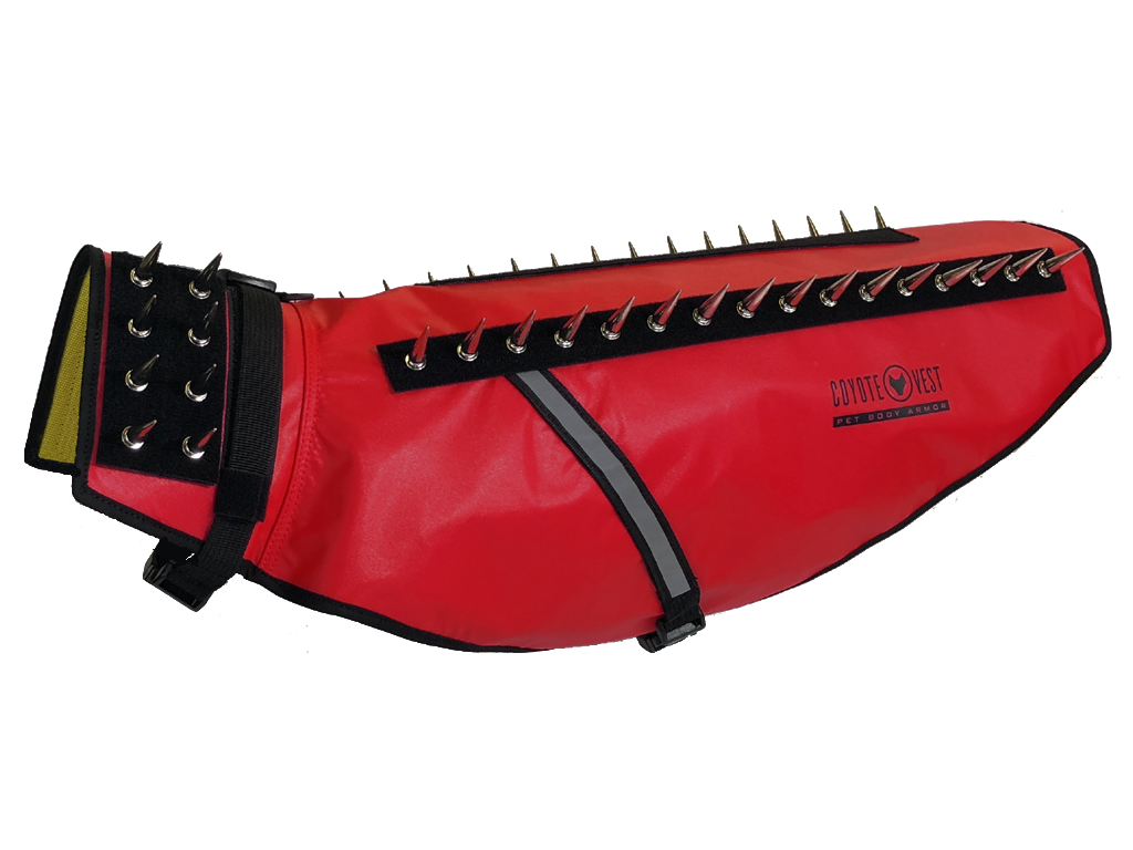 Dog Safety Vest – CoyoteVest | Predator Protection for Small Dogs