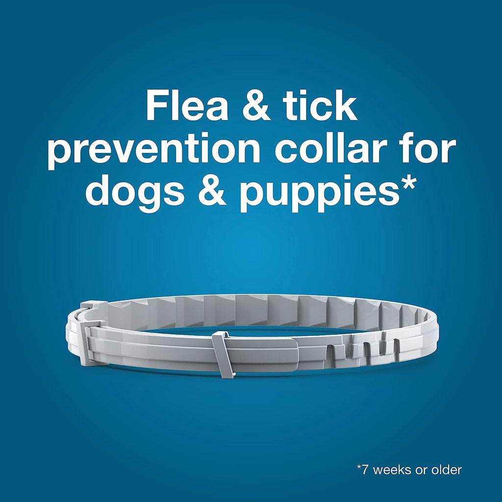 Dog Flea & Tick Collar | Seresto Long-Lasting Protection | Small & Large