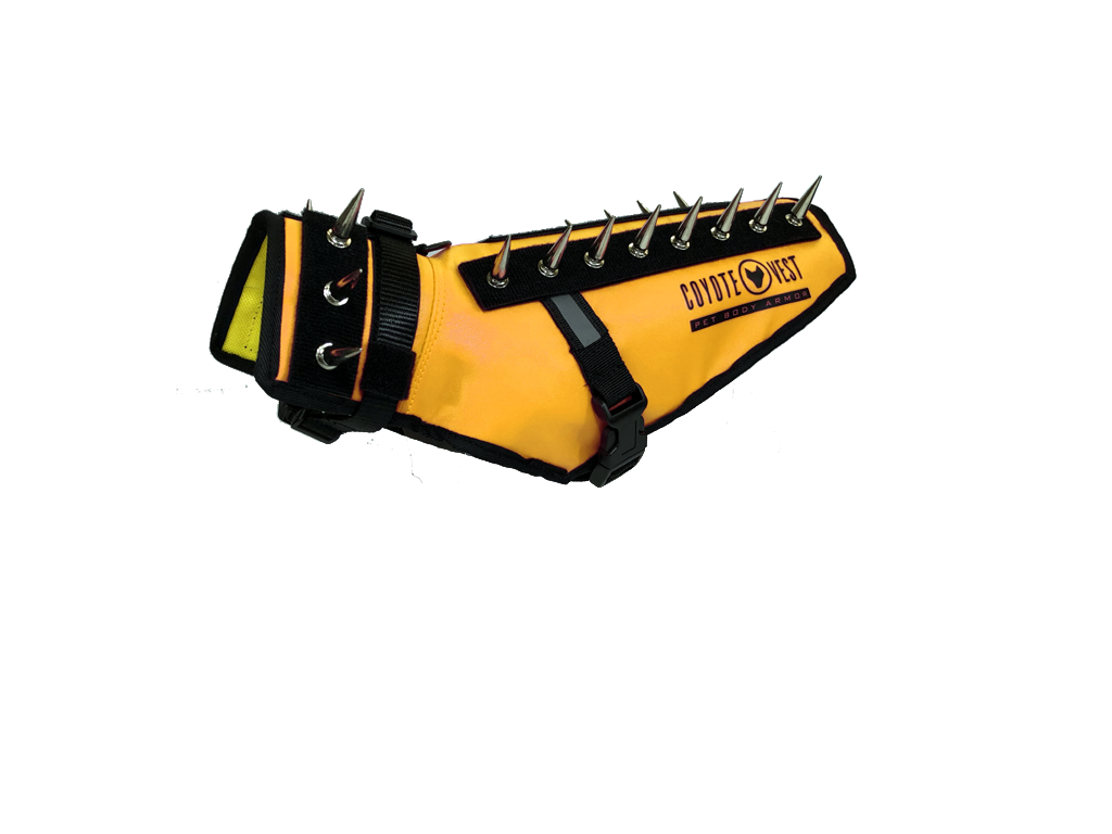 Dog Safety Vest – CoyoteVest | Predator Protection for Small Dogs