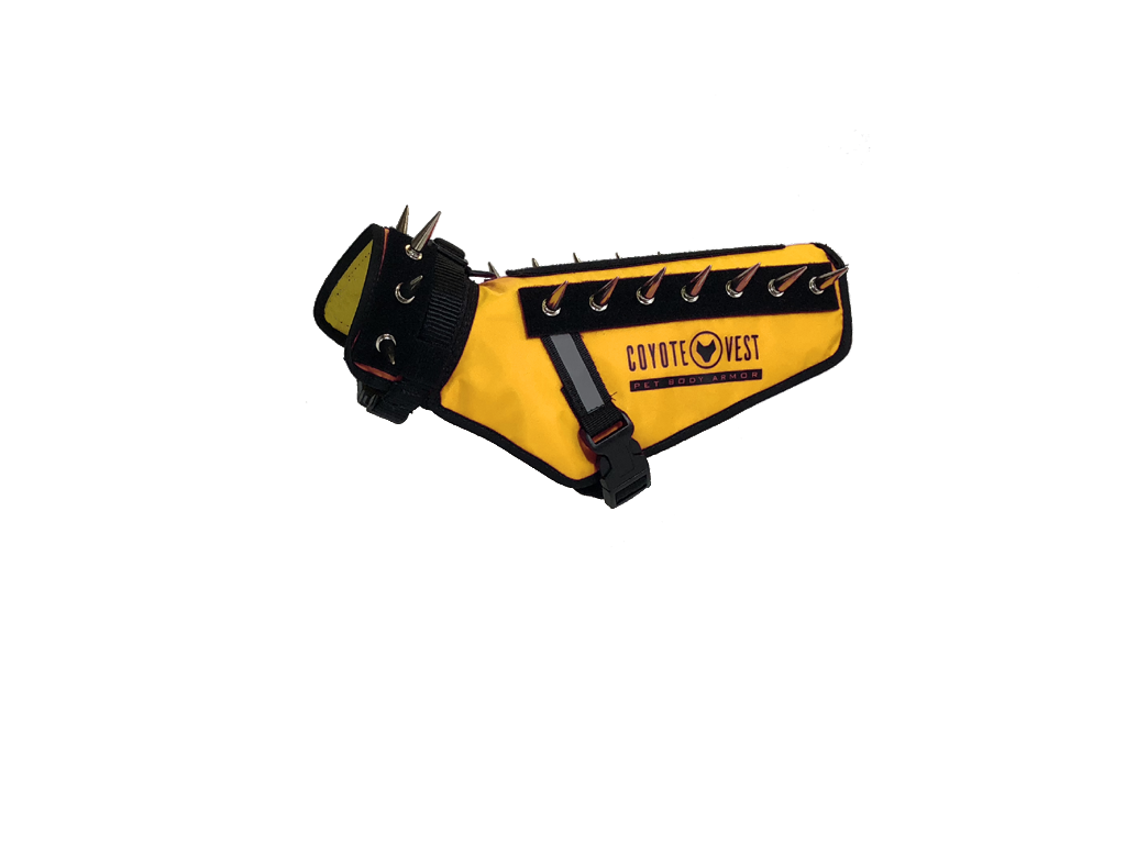 Dog Safety Vest – CoyoteVest | Predator Protection for Small Dogs