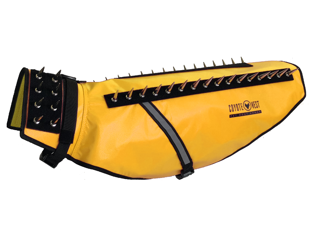 Dog Safety Vest – CoyoteVest | Predator Protection for Small Dogs